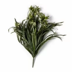 Best deal ???? Green Spider Bush Classic Greenery Collection by Ashland® ❤️