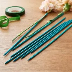 Discount ???? Plant Stakes by Ashland® ???? -Ashland Sales 10250026 20