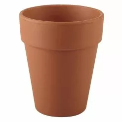 Cheap ✨ Ashland™ Clay Pot, Rose ????