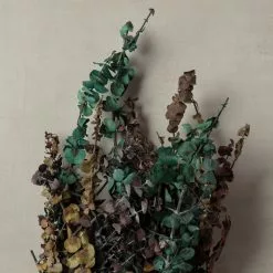 New ⭐ Ashland® Eucalyptus Bunch, 8 oz Tri-Colored ???? -Ashland Sales 10259689 25