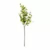 New ???? Sinojackia Leaf Stem by Ashland® ???? -Ashland Sales 10263000 21