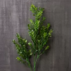 Cheap ???? Sweet Grass Stem by Ashland® ???? -Ashland Sales 10263020 22