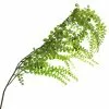Best Pirce ⌛ 12 Pack: Green Weeping Fern Spray by Ashland® ???? -Ashland Sales 10263117