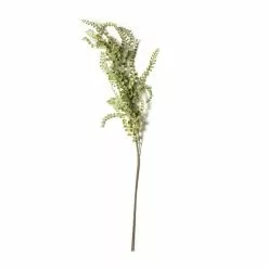 Wholesale ???? Weeping Fern Stem by Ashland® ????