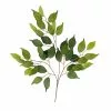 Coupon ???? Ficus Spray Floral Essentials by Ashland® ???? -Ashland Sales 10292507 30