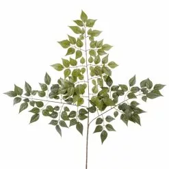 Brand new ❤️ China Dollar Spray Floral Essentials by Ashland® ????