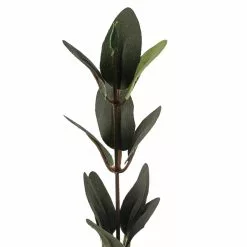 Flash Sale ???? Huckleberry Leaf Spray by Ashland® ⭐ -Ashland Sales 10292555 20