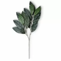 Discount ❤️ Green Magnolia Leaf Spray Floral Essentials Collection by Ashland® ???? -Ashland Sales 10292556 21