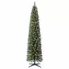 Coupon ???? 7ft. Pre-Lit Artificial ???? Christmas Tree, Clear Lights by Ashland® ???? -Ashland Sales 10293311 1