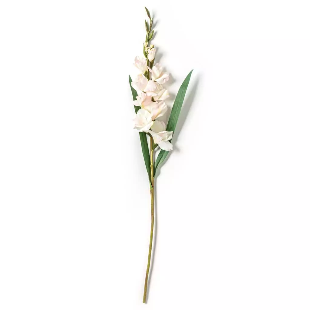 Best Sale ???? White Gladiolus Stem by Ashland® ???? 4 Best Sale ???? White Gladiolus Stem by Ashland® ???? - Image 2