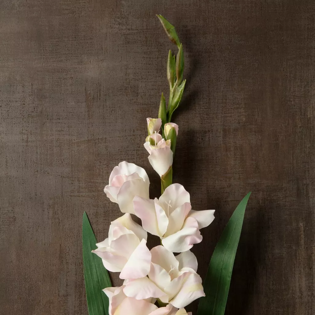 Best Sale ???? White Gladiolus Stem by Ashland® ???? 6 Best Sale ???? White Gladiolus Stem by Ashland® ???? - Image 4