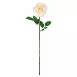 Best reviews of ???? 12 Pack: White Princess Rose Stem by Ashland® ????