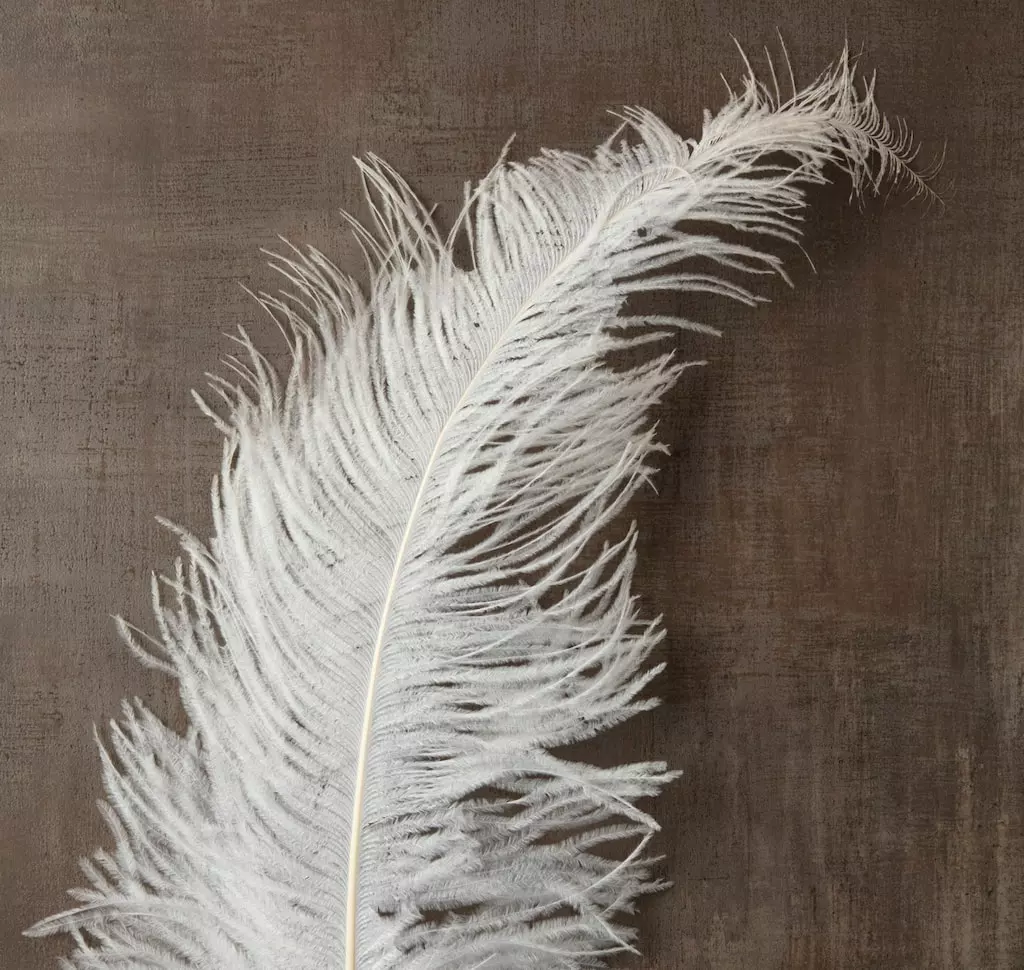 Wholesale ???? Ashland® Feather, Ostrich, Ivory ???? 4 Wholesale ???? Ashland® Feather, Ostrich, Ivory ???? - Image 2