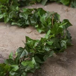 Deals ???? 6ft. Chain Ivy Garland by Ashland® ???? -Ashland Sales 10307751 22
