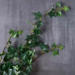 Flash Sale ⌛ Assorted Mini English Ivy Bush by Ashland® ???? -Ashland Sales 10308569 22