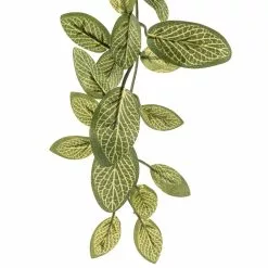 Best reviews of ???? Fittonia Hanging Bush Classic Greeery by Ashland® ❤️ 8 Best reviews of ???? Fittonia Hanging Bush Classic Greeery by Ashland® ❤️ -Ashland Sales 10308882 20