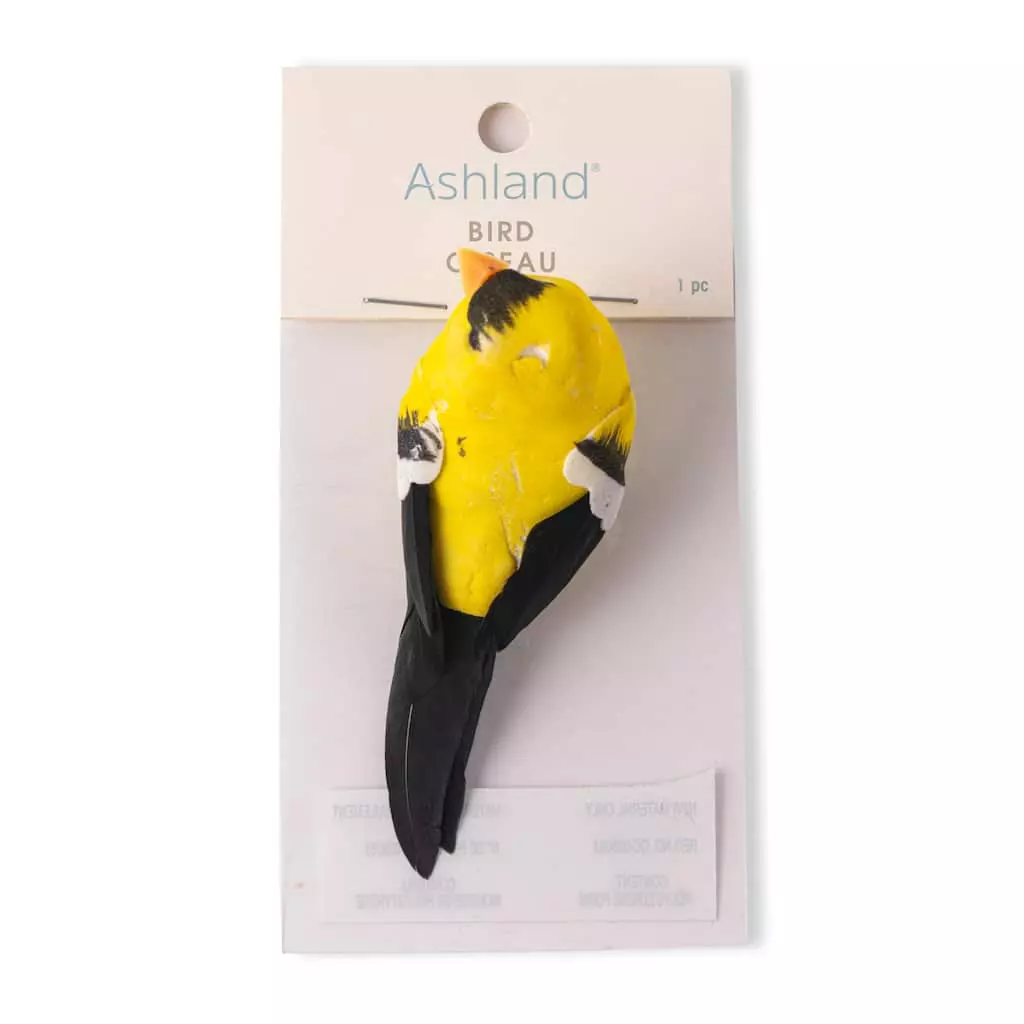 Best reviews of ???? Finch Bird by Ashland® ???? 5 Best reviews of ???? Finch Bird by Ashland® ???? - Image 3