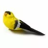 Best reviews of ???? Finch Bird by Ashland® ???? -Ashland Sales 10309954 21
