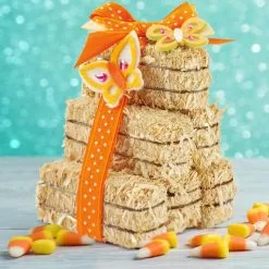 Top 10 ???? Decorative Straw Bales by Ashland® ???? -Ashland Sales 10322651 15