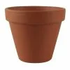 Best reviews of ???? Clay Pot by Ashland™ ❤️ -Ashland Sales 10327064