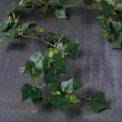 Best reviews of ???? Assorted 6ft. Mini Ivy Garland by Ashland® ???? -Ashland Sales 10334839 22