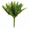 Top 10 ⭐ Ashland® Fern Collection Mini Boston Fern Bush ???? 2 Top 10 ⭐ Ashland® Fern Collection Mini Boston Fern Bush ???? -Ashland Sales 10335158