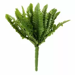 Top 10 ⭐ Ashland® Fern Collection Mini Boston Fern Bush ????