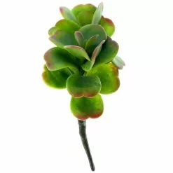 Buy ???? Green & Orange Succulent Pick by Ashland® ????