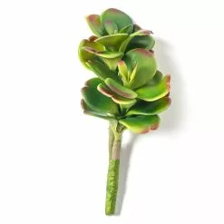 Buy ???? Green & Orange Succulent Pick by Ashland® ???? -Ashland Sales 10337814 21