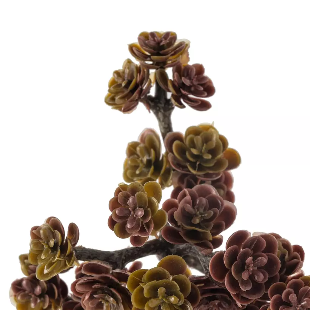 Discount ???? Creeping Red Sedum Pick by Ashland® ???? 5 Discount ???? Creeping Red Sedum Pick by Ashland® ???? - Image 3