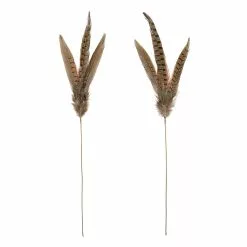 Budget ???? Pheasant Feather Picks by Ashland® ????