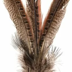 Budget ???? Pheasant Feather Picks by Ashland® ???? -Ashland Sales 10355706 20