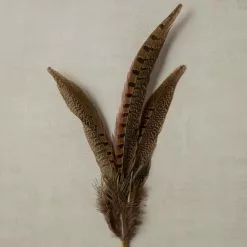 Budget ???? Pheasant Feather Picks by Ashland® ???? -Ashland Sales 10355706 25