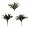 Cheapest ???? 12 Pack: Assorted Cordyline Bush by Ashland® ❤️ -Ashland Sales 10356827 1