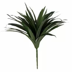 Budget ???? Assorted Cordyline Bush by Ashland® ❤️ -Ashland Sales 10356827 2