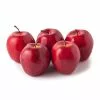 New ???? Ashland® Garden Fresh Faux Fruit Bag of Red Apples ????