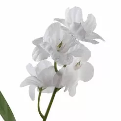 Best deal ???? Double Baby's Breath Stem by Ashland® ⌛ -Ashland Sales 10368584 20