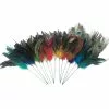 New ✨ Assorted Colorful Feather Pick by Ashland® ???? -Ashland Sales 10373846 6