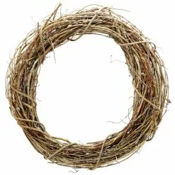 Budget ⭐ 18" Grapevine Wreath by Ashland® ????