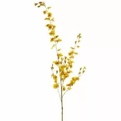 Wholesale ???? Dancing Orchid by Ashland® ???? -Ashland Sales 10381029 1