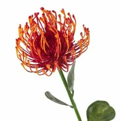 Hot Sale ???? Tropical Needle Protea Spray by Ashland® ???? -Ashland Sales 10381033 20