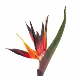 Buy ⭐ Tropical Bird of Paradise Stem by Ashland® ???? -Ashland Sales 10390624 20
