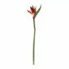 Buy ⭐ Tropical Bird of Paradise Stem by Ashland® ???? -Ashland Sales 10390624 21