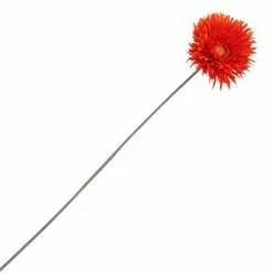 Best deal ???? Spider Gerbera Daisy Spray by Ashland® ????