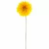 Deals ???? 12 Pack: Yellow Spider Gerber Daisy Stem by Ashland® ????