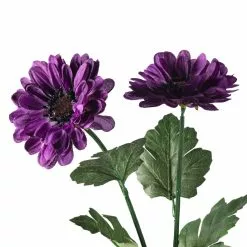 Buy ???? Zinnia Mum Spray by Ashland® ???? -Ashland Sales 10392967 20