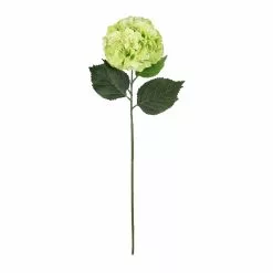 Outlet ???? Garden Blooms Hydrangea Stem by Ashland® ✔️