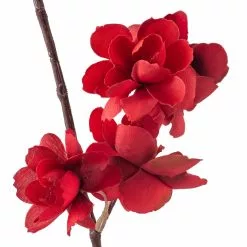 Flash Sale ???? Red Apple Blossom Branch Stem by Ashland® ???? -Ashland Sales 10400684 20
