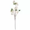 Hot Sale ???? Cream Apple Blossom Branch Stem by Ashland® ???? -Ashland Sales 10400688