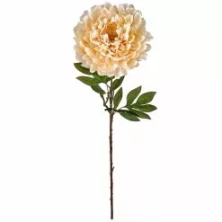 Best Pirce ???? Jumbo Cream Peony Stem by Ashland® ????